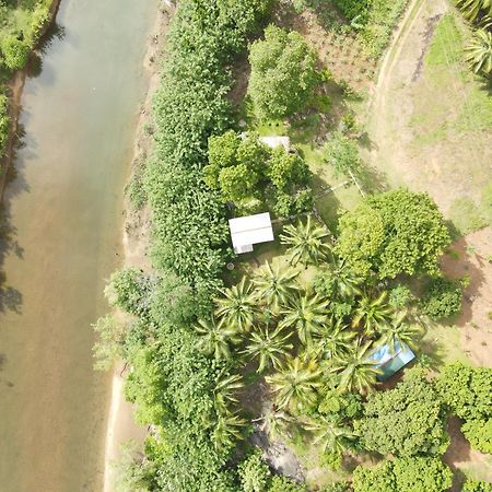 אודוואלאווה River Paradise Safari House With Cooking Class מראה חיצוני תמונה