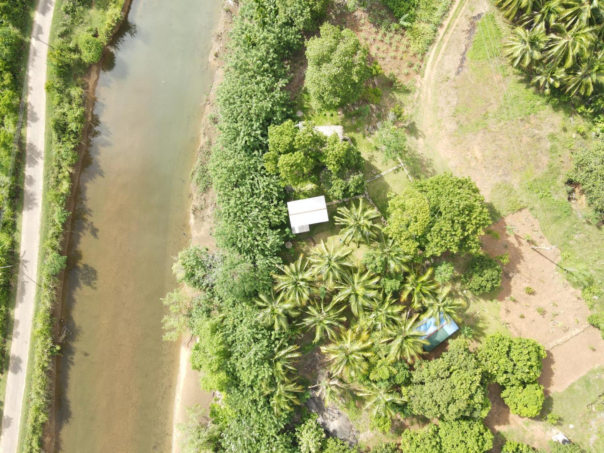 אודוואלאווה River Paradise Safari House With Cooking Class מראה חיצוני תמונה